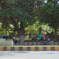 Floreal Orchid